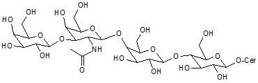 GA1-Ganglioside