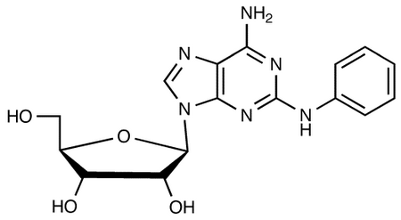 2-Phenylaminoadenosine