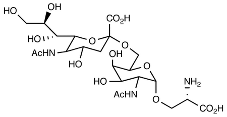 STn Epitope