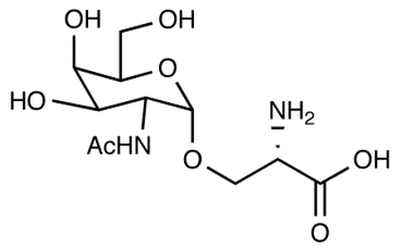Tn Epitope