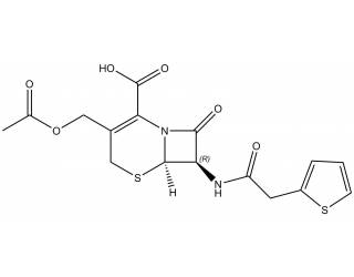 Cephalothin