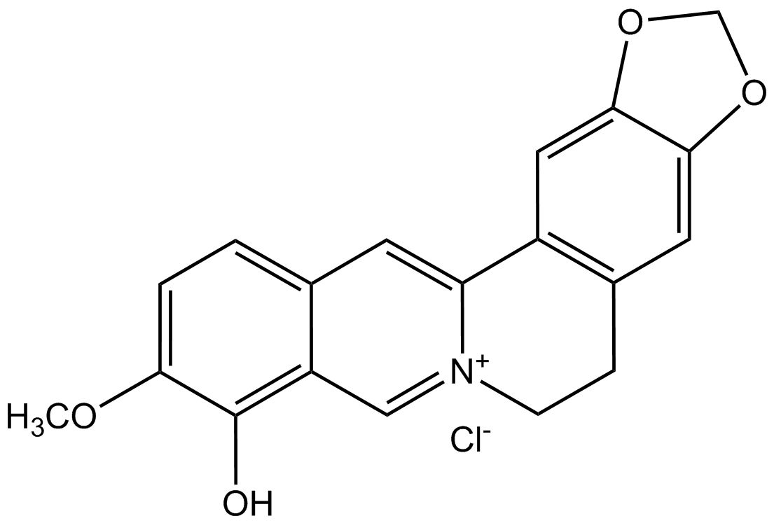 Berberubine  chloride salt