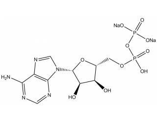Adenosine 5'-Diphosphate disodium salt