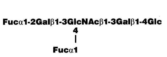 Lacto-N-difucohexaose I (Le b hexa)