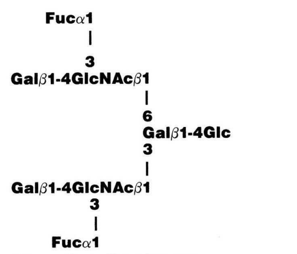 Di-fucosyllacto-N-neohexaose