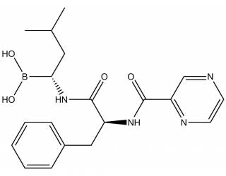 Bortezomib
