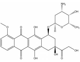 Doxorubicin