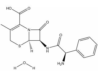 Cefalexin monohydrate