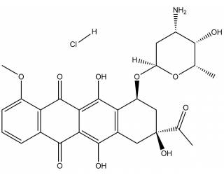 Daunorubicin hydrochloride salt