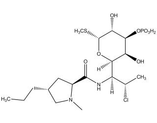 Clindamycin phosphate salt