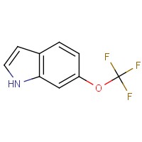 6-(Trifluoromethoxy)-1H-indole
