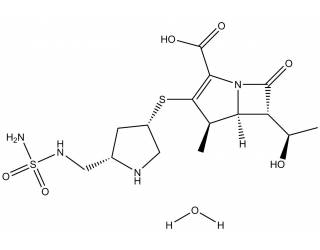 Doripenem monohydrate