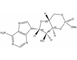 Adenosine 3',5'-cyclic monophosphate sodium salt monohydrate