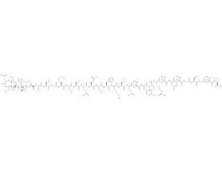 Calcitonin (salmon)