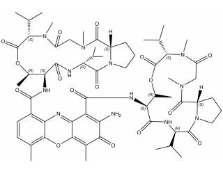 Actinomycin D