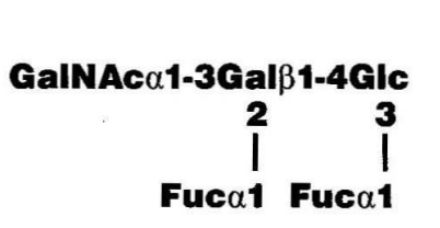 A-Pentasaccharide