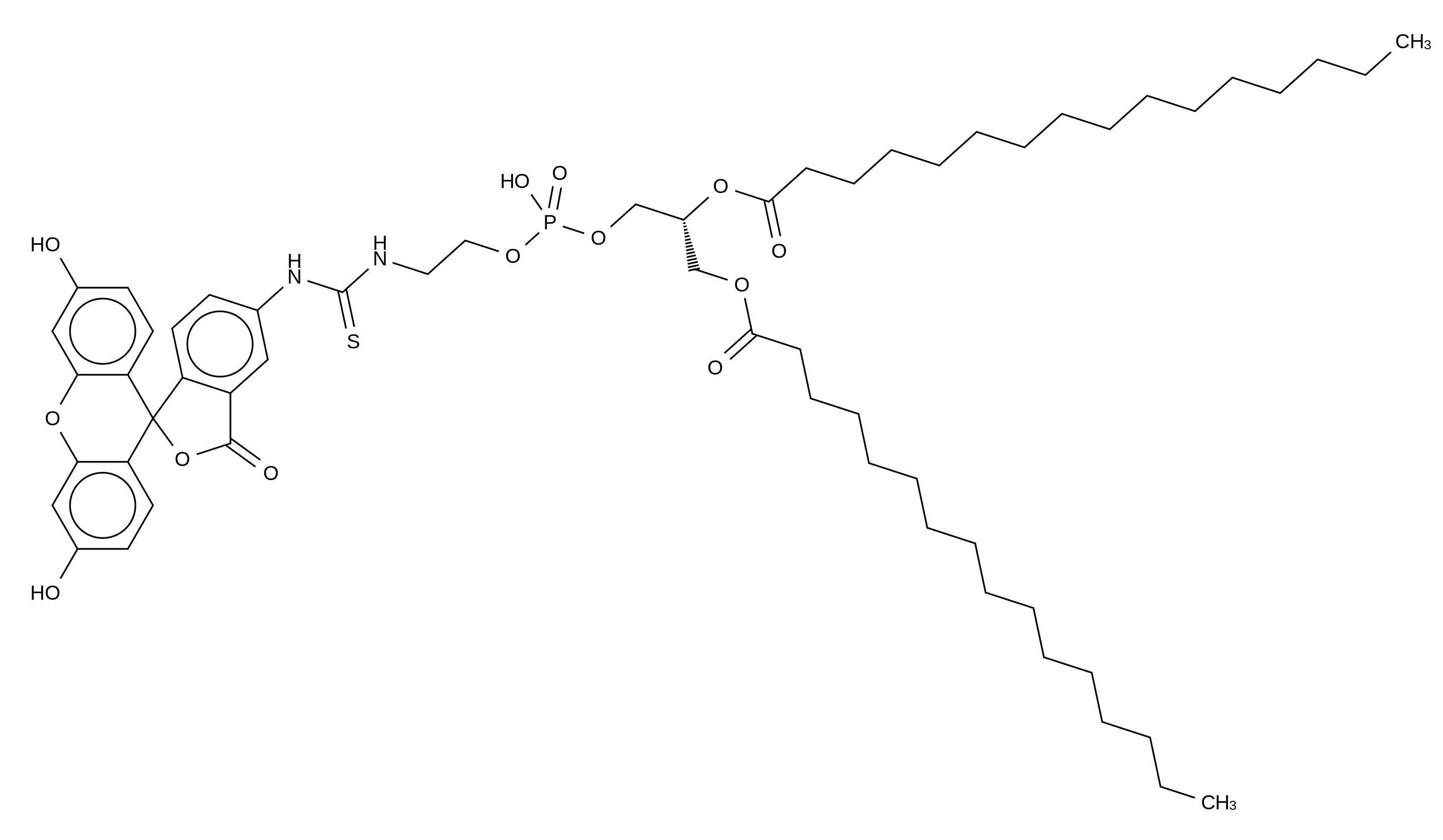 Fluorescein-Dipalmitoylphosphatidylethanolamine