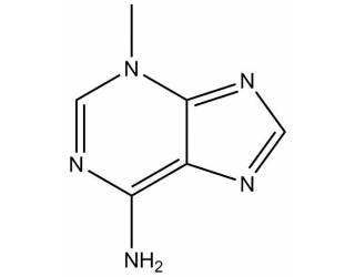 3-Methyladenine