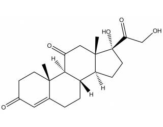 Cortisone