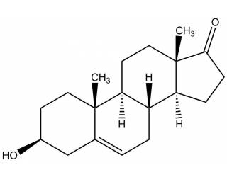 Dehydroepiandrosterone