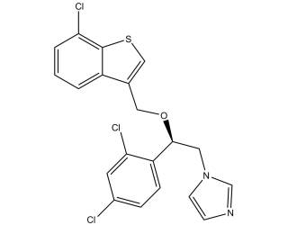 Arasertaconazole