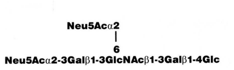 Disialyllacto-N-tetraose