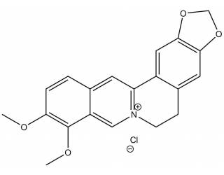 Berberine chloride salt