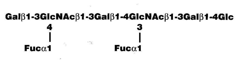 Difucosyl-para-lacto-N-hexaose