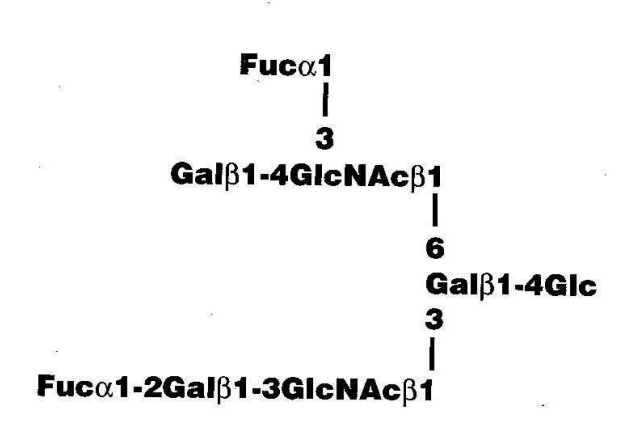 Difucosyllacto-N-hexaose(a)