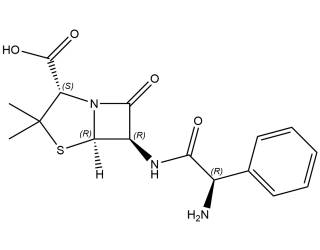 Ampicillin