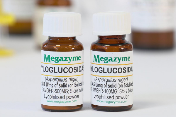 Amyloglucosidase (Aspergillus niger )