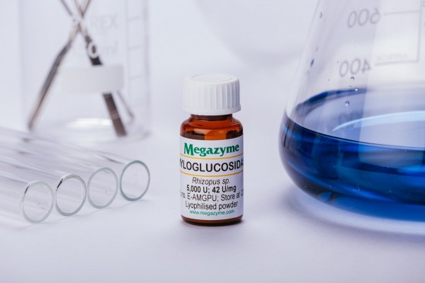 Amyloglucosidase (Rhizopus  sp.)