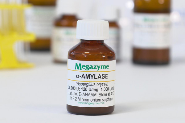 α-Amylase (Aspergillus oryzae )