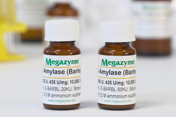 β-Amylase (Barley)