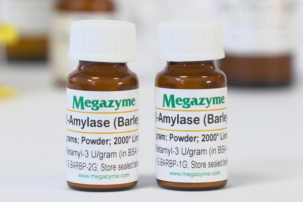 β-Amylase (Barley) Powder