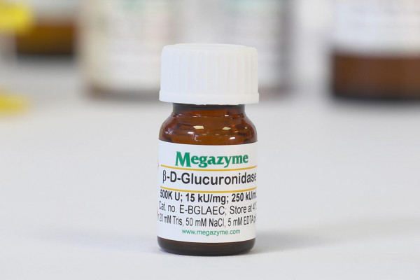 β-Glucuronidase (Escherichia coli )