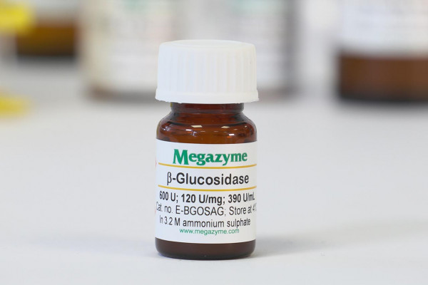β-Glucosidase (Agrobacterium sp.)