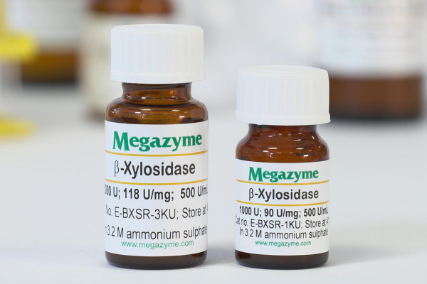 β-D-Xylosidase (Selenomonas ruminantium )