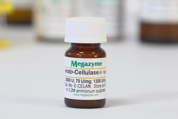 Cellulase (endo -1,4-β-D-glucanase) (Aspergillus niger )