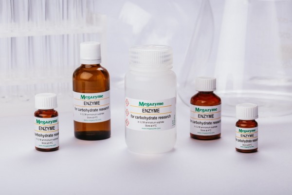 exo -1,3-β-D-Glucanase (Trichoderma virens )