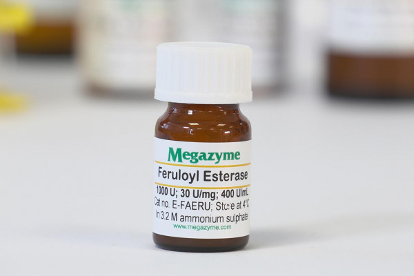 Feruloyl esterase (rumen microorganism)