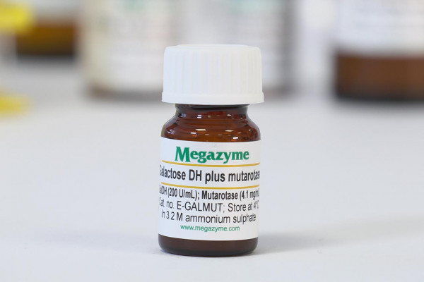 Galactose dehydrogenase - Galactose mutarotase