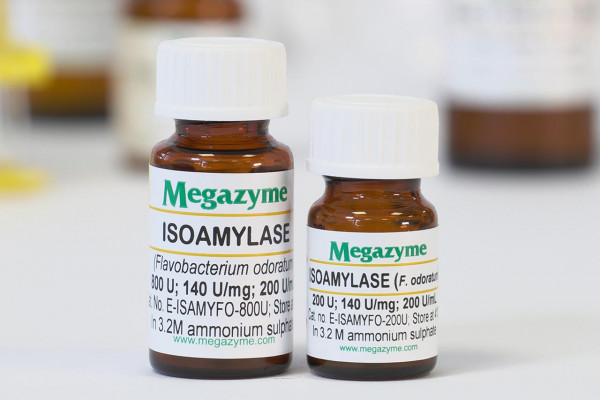 Isoamylase (Glycogen 6-glucanohydrolase)(Flavobacterium odoratum )