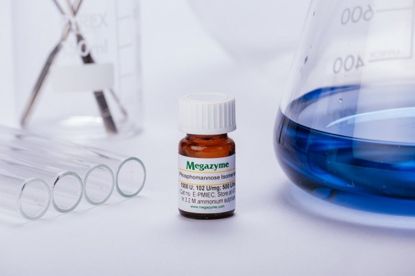 Phosphomannose isomerase (Escherichia coli )