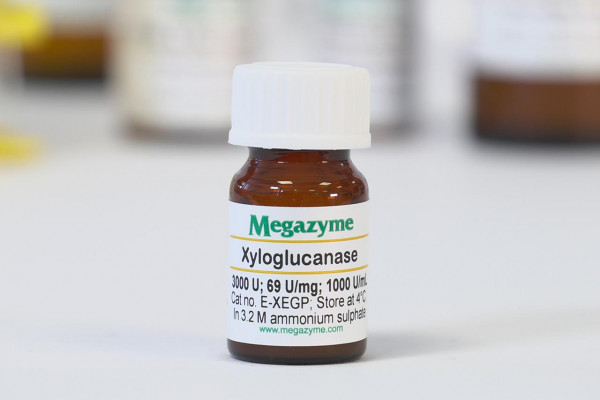 Xyloglucanase (GH5) (Paenibacillus sp.)