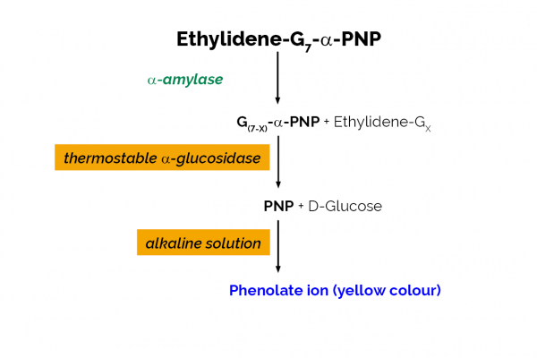 α-Amylase SD Assay Kit