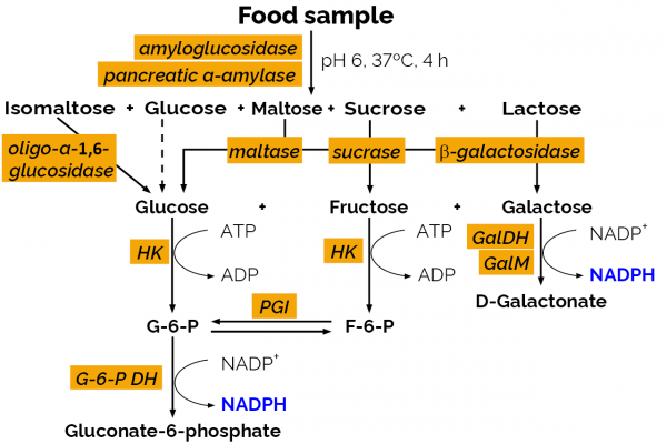 Available Carbohydrates Assay Kit