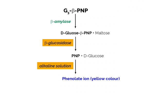 β-Amylase Assay Kit (Betamyl-3)