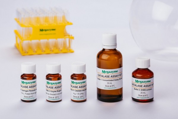 Catalase Assay Kit