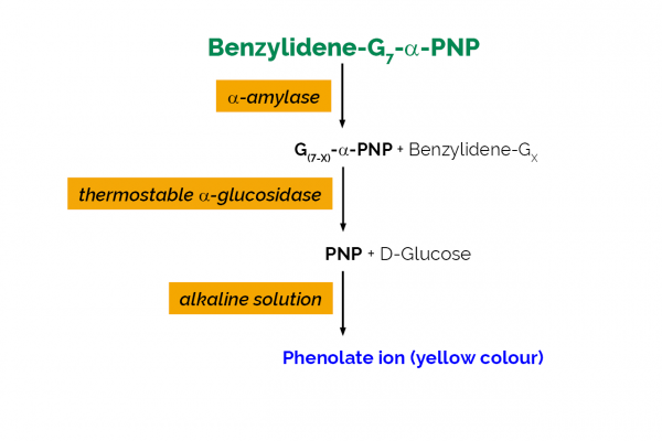 α-Amylase Assay Kit (Ceralpha Method)<sup> </sup>